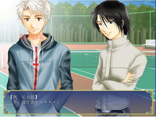 冰帝梦想番外：揭秘冰帝网球部背后的爱情与冒险