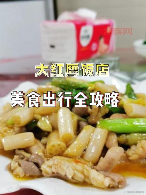 摩尔庄园浆果密道位置详解:如何进入并探索隐藏宝藏