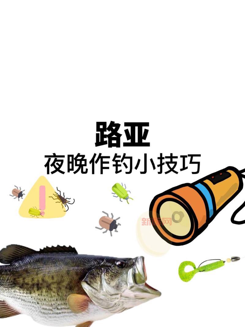 喜欢夜钓？夜鳞鲷鱼只有晚上有吗？钓鱼技巧分享！