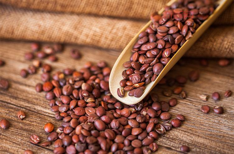 波塞冬斯的缰绳绝版了？带你了解它的前世今生和价值