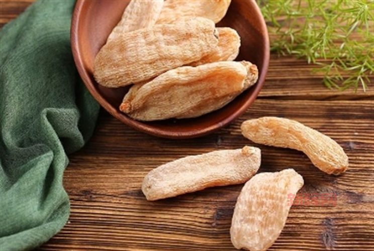 波塞冬斯的缰绳绝版了？带你了解它的前世今生和价值