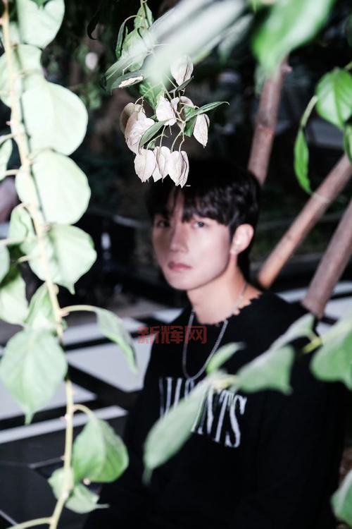 狐狸MM专属社区:分享音乐与精彩瞬间