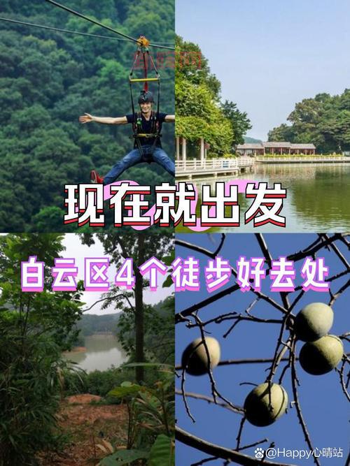 玩法多样的卡卡西游MO：随时随地尽享乐趣