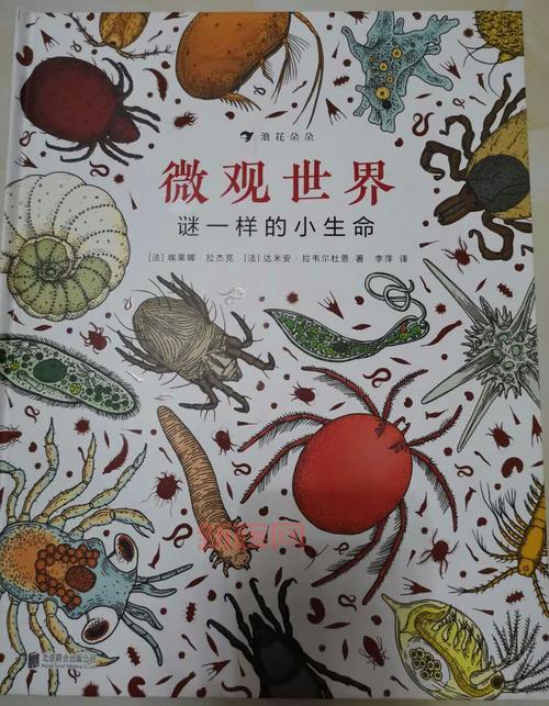 扫描探针：探索微观世界的关键工具