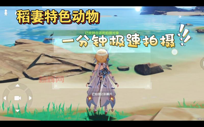 稻妻区域动物在哪里?教你准备四张以稻妻区域动物怎么拍轻松完成任务!