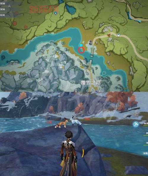 稻妻区域动物在哪里?教你准备四张以稻妻区域动物怎么拍轻松完成任务!