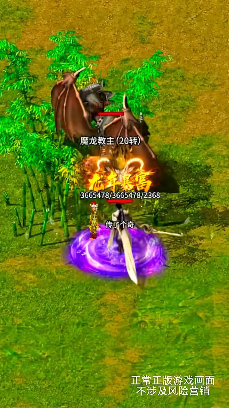 传奇114搜服网靠谱吗？亲测推荐这几个网站！