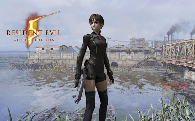 生化危机5联机不稳定怎么办？教你几招解决问题！