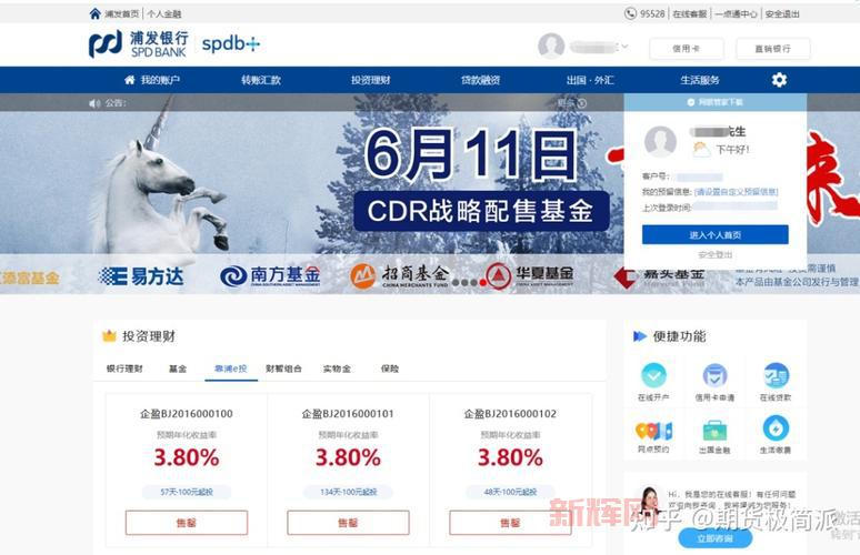 SPDB上海浦东发展银行：金融服务与创新探索