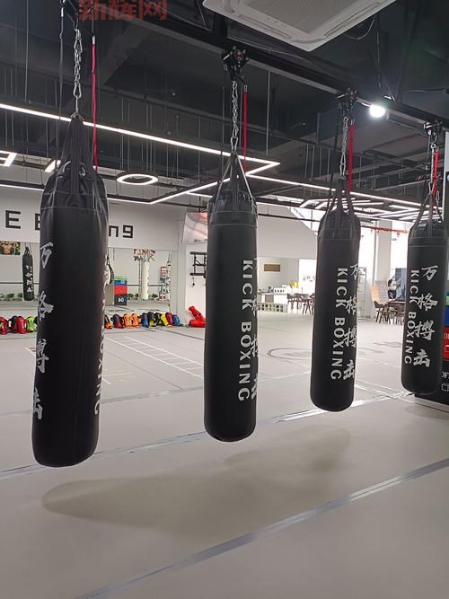 拳击俱乐部通关秘籍：主线任务流程+健身房训练技巧！