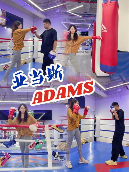 拳击俱乐部通关秘籍:主线任务流程+健身房训练技巧!