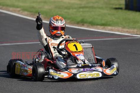 揭秘F1 2010职业模式玩法:体验全方位赛车竞技