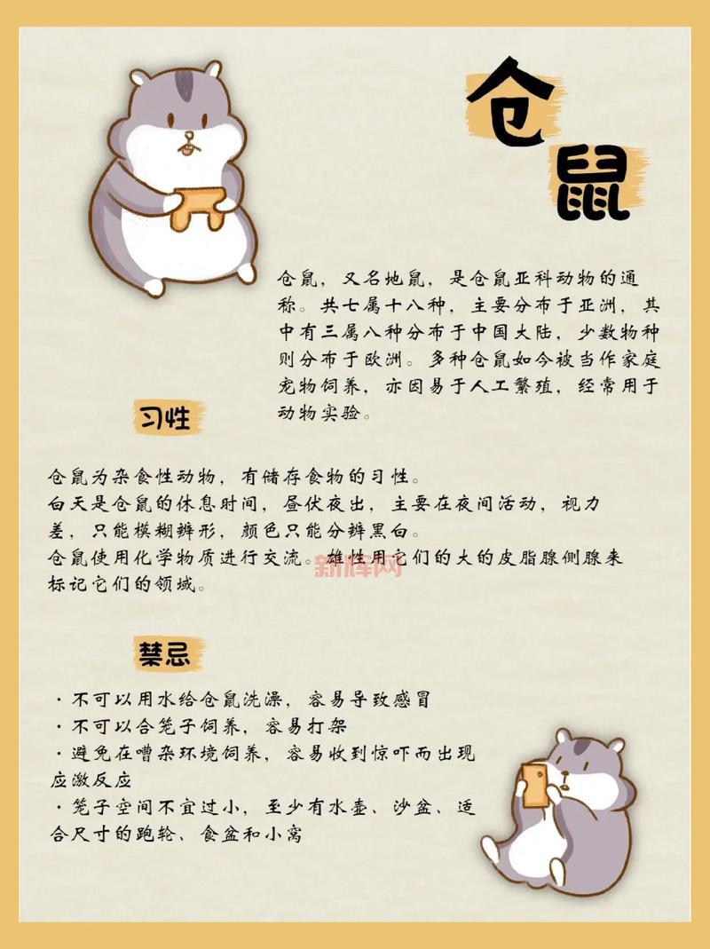 秘密传说之书攻略:新手入门少走弯路快速通关技巧