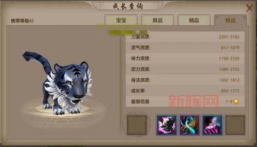 天龙八部珍兽幻化丹怎么用？高玩分享实用攻略！