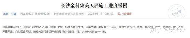 新力实况:从停工到复工,项目全面解析