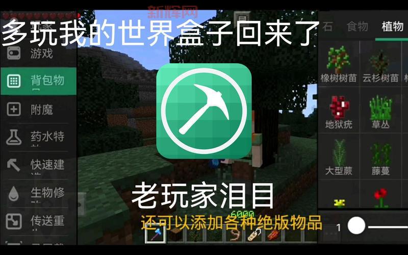 多玩我的世界盒子ipad版怎么下载?安装教程分享!
