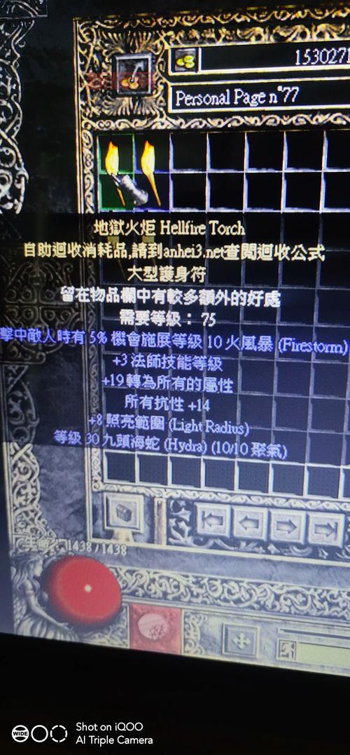 火炬之光2法师怒气大师怎么玩？新手老手必看加点攻略！