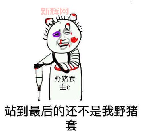 假猪套什么意思?这篇文章一次给你讲清楚!
