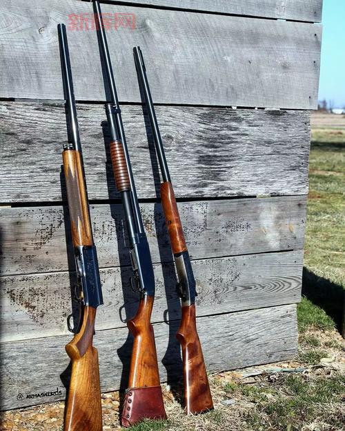 无主之地2散弹枪推荐:最强散弹枪装备与使用技巧