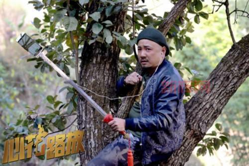 心花路放:宁浩执导公路喜剧,黄渤沈腾携手爆笑寻爱