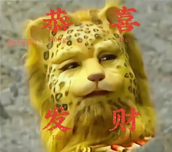 广东动物园金钱豹学会回拜，网友纷纷点赞