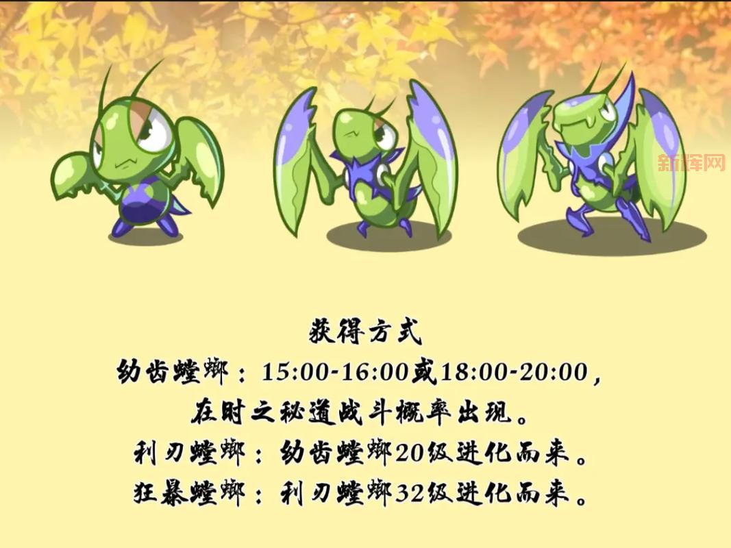 洛克王国酷拉技能表大全：详细解析酷拉技能与战斗技巧