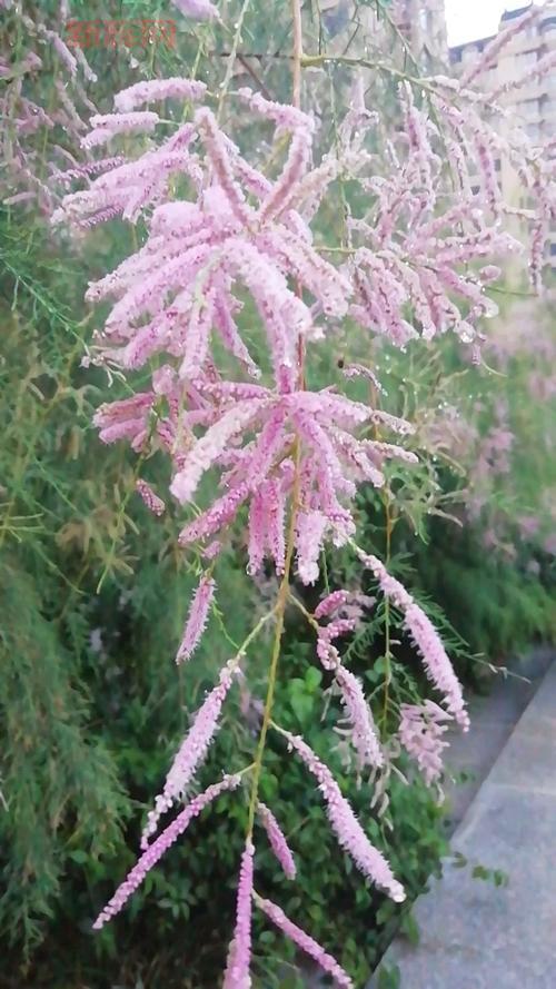 八兄弟同赏月之谜,你能猜出答案吗?