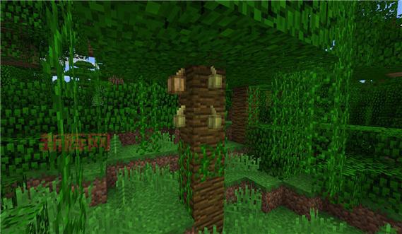 我的世界可可豆种植技巧：从采集到制作的全方位指南