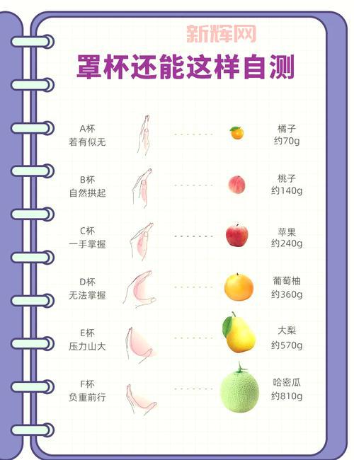 34cc有多大？跟其他罩杯比起来算大吗？