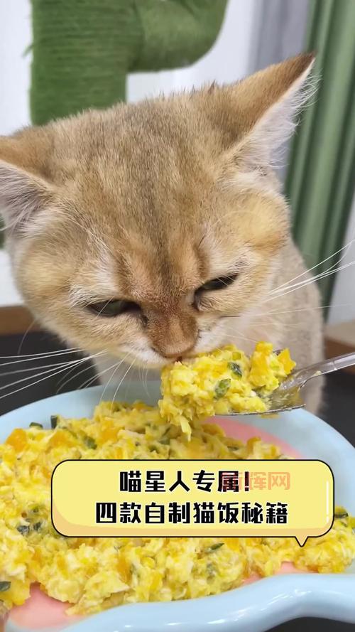 喵星厨做法大公开!只需几步,猫咪爱吃到不行!