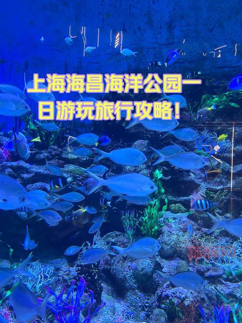 周末去哪玩?绚烂主题公园一日游攻略看这篇!