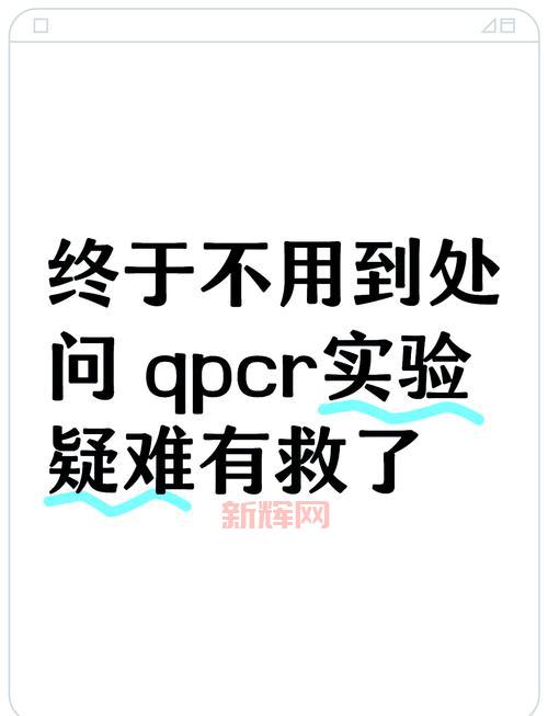 qp点怎么交易？qp点交易平台和注意事项详解！