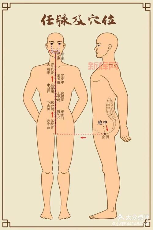 内丹位置怎么找？老前辈教你快速入门！