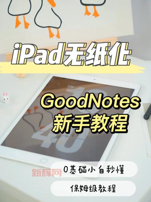 xperl是什么？新手入门必看保姆级教程！