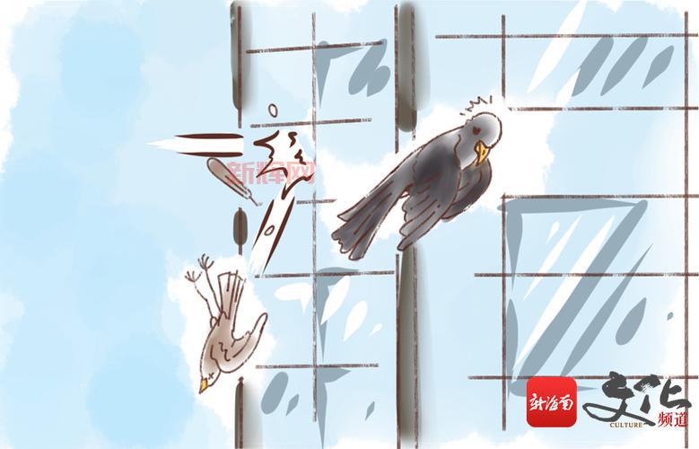 日本大全飞翼鸟漫画怎么找？这几个方法快来学！