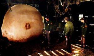 撕裂人2小游戏在哪玩?手把手教你找到好玩版本!