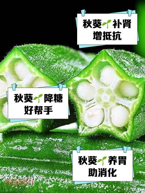 榴莲秋葵向日葵丝瓜黄瓜蕾丝,营养价值大揭秘!