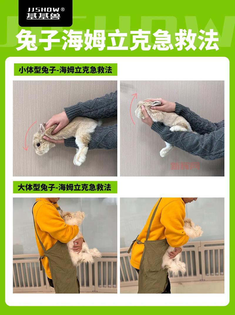 怎么让兔子飞?这几个脑洞大开的技巧学起来!