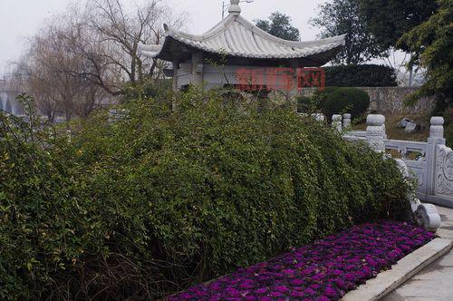 139my外挂总是掉线?教你几招解决连接问题!