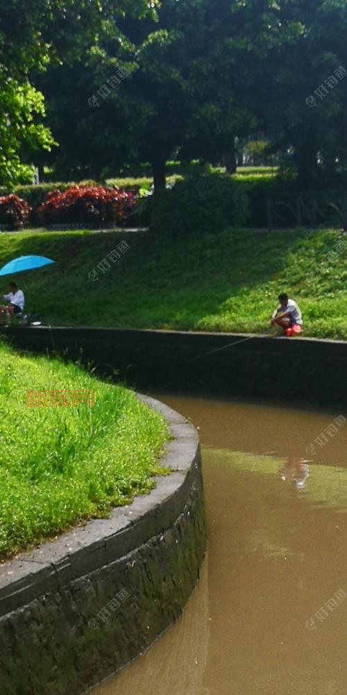 阳光下的真实攻略怎么玩？快速上手少走弯路！