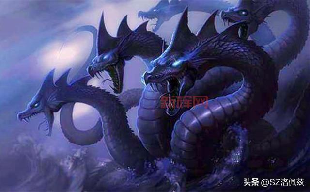 海盗王之无双大蛇哪个角色强？看完这个你就懂了！