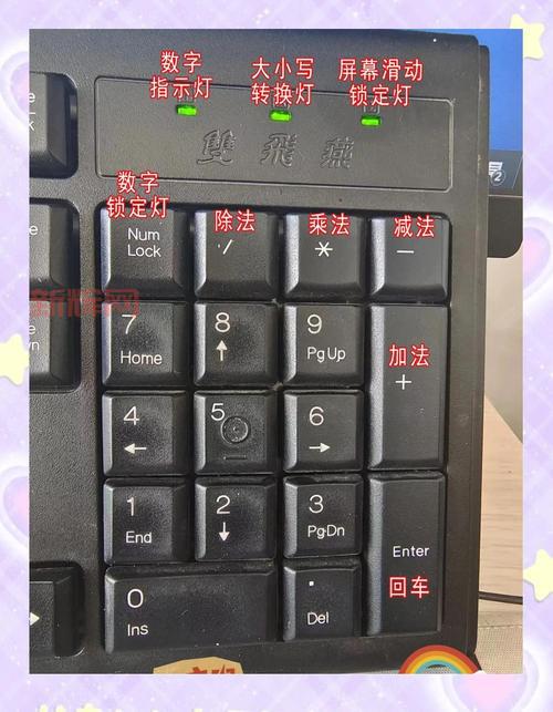 8键盘设置教程：新手也能轻松掌握的技巧分享