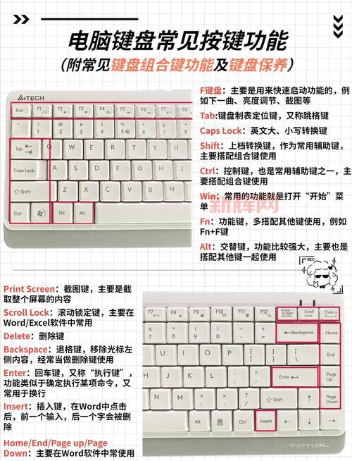 8键盘设置教程：新手也能轻松掌握的技巧分享