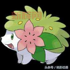 口袋妖怪黑白2神兽有哪些?神兽捕捉地点大全!