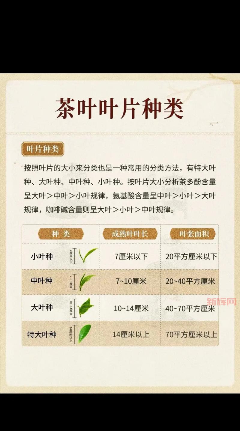 主叶群品种有哪些?不同品种的主叶群介绍!