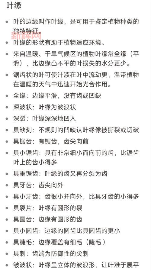 主叶群品种有哪些?不同品种的主叶群介绍!