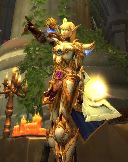 圣骑士装备选择困难？老玩家教你如何正确搭配！