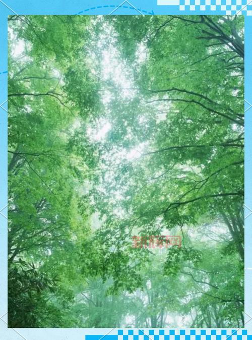 蔷薇法则揭秘:普通人也能逆袭的秘密!