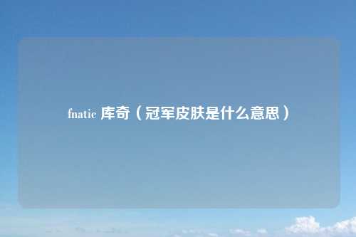 fnatic 库奇(冠军皮肤是什么意思)