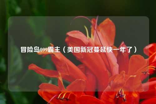 冒险岛099霸主（美国新冠蔓延快一年了）